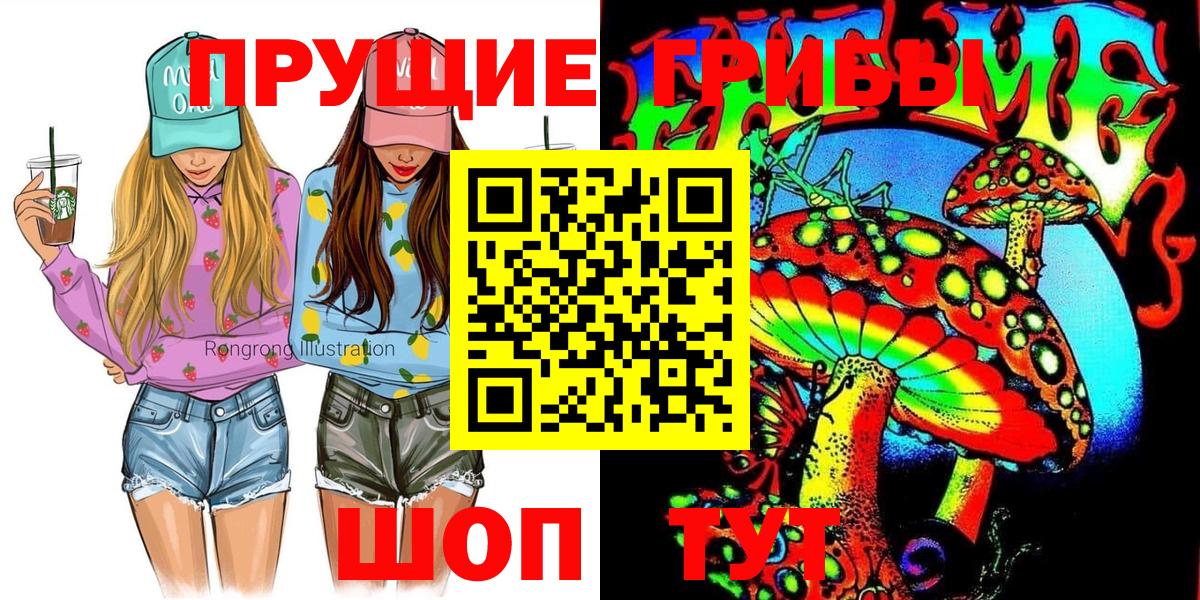Галлюциногенные грибы Psilocybine cubensis  Вход с VPN  Кольчугино 